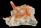 Natural, Red Quartz Crystal Cluster - Morocco #128068-1